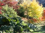 gallery-gardens10